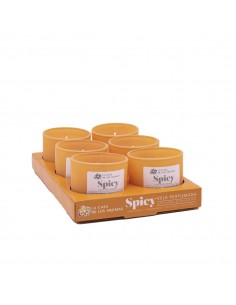BOUGIE-LCDLA-SPICY-CANELA-NARANJA-grossiste-parfum-ambiance 2
