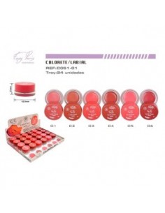 Grossiste PACK DE 24 BAUME LÈVRES BLUSH 24H -
