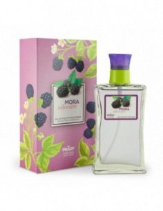 CARTON DE 24 - MURE SAUVAGE DE PRADY - PARFUM