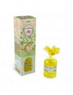 Pack de 12 - Rose Parfumée "AZAHAR" - PRADY