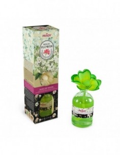 Pack de 12 - Rose Parfumée "Dame des nuits" -