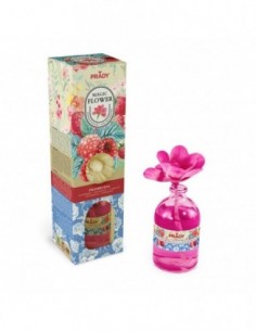 Pack de 12 - Rose Parfumée "Framboise" - PRADY