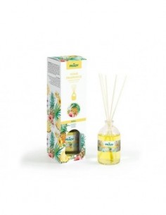 Pack de 12 - Mikado senteur "Ananas" parfum