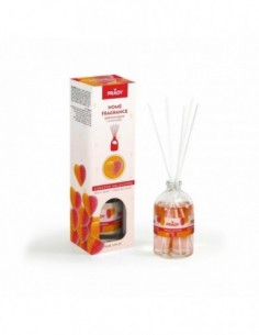 Pack de 12 - Mikado senteur "Coeur PÊche" Prady -