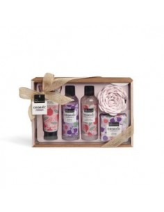 Grossiste COFFRET ORGANIC FIG FRUIT - IDC
