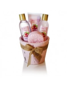 Grossiste COFFRET STRAWBERRY - POKHARA