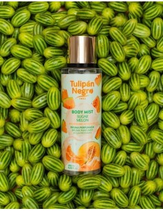 TULIPAN-BODYMIST-SUGAR-MELON-parfum-generique-BODY MIST "SUGAR