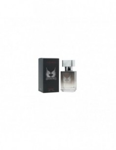 GROSSISTE-INVINCIBLE POUR HOMME EDP 30ML - REYES QUEENS