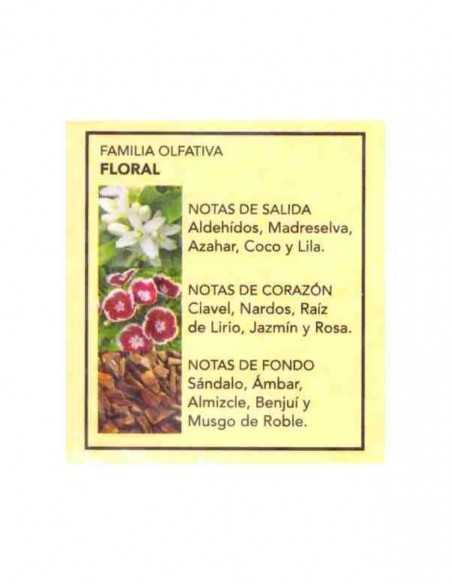 cleot-Notes-Fragance-Parfum-prady-london-grossiste-parfum-generique