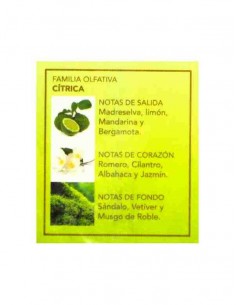 grossiste prady parfum - Ô DE PRADY POUR ELLE DE PRADY - EDT 100 ML (Parfum Générique prady) - PARFUM PRADY -. PRADY PARFUMS 2