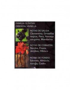 grossiste prady parfum - BOSIC BACK IN BLACK POUR ELLE DE PRADY - EDT 100 ML (Parfum Générique prady) - PARFUM PRADY -. PRADY P 2