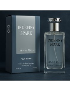 Eau de parfum homme 100ml MICHELA VALENTI
