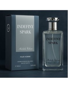 Eau de parfum homme 100ml MICHELA VALENTI 2