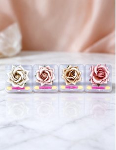 Highlight Rose Petal D'Donna pack 24 poudres illuminateurs v