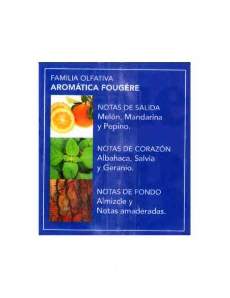 UNITEDPOLOBLUE-notes-eau-de-toilette-prady-Fragance-grossiste-parfum-generique