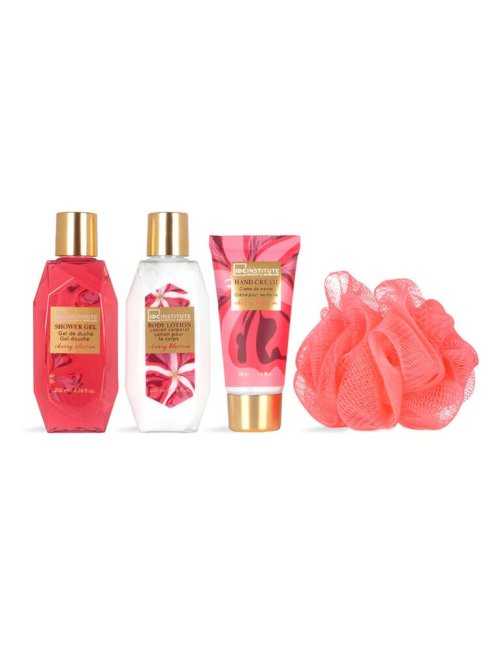 Coffret soins quotidiens Secret Stories - IDC Institute - photo 3 - coffrets en gros