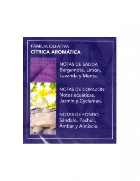 TOMM-Notes-aromes-Fragance-eau-de-toilette-prady-grossiste-parfum-generique