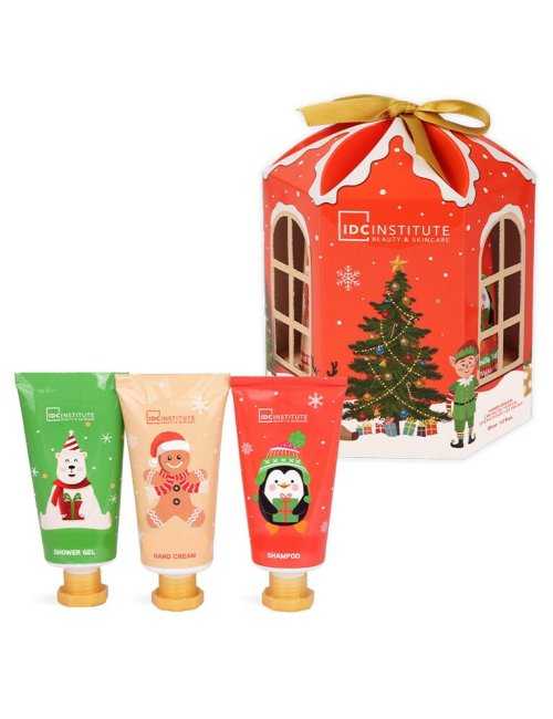 Coffret mini soins festifs de Noël - IDC Institute - Grossiste Parfum Générique