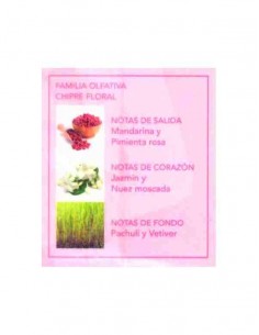 grossiste prady parfum - DSEIL POUR ELLE DE PRADY - EDT 100 ML (Parfum Générique prady) - PARFUM PRADY -. PRADY PARFUMS 2