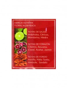 grossiste prady parfum - DOLCE DONNA ROUGE POUR ELLE DE PRADY - EDT 100 ML (Parfum Générique prady) - PARFUM PRADY -. PRADY PAR 2