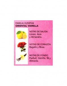 grossiste prady ,PRADY-PINK 2
