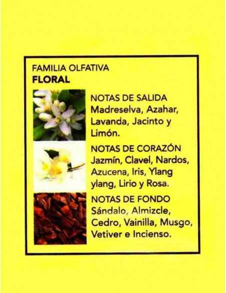 grossiste prady ,PRADY-ANA 