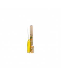 FLORDEMAYO-MIKADOXCANELLE/ORANGEBOTANICAL-grossiste-prady