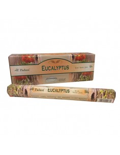Tulasi-EUCALYPTUS,grossiste-parfum-generique-et-ambiance