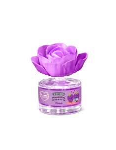 The fruit company-Fleur parfumée-MURE-grossiste-parfum-generique 2