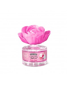 The fruit company-fleur parfumée-Fraise 2