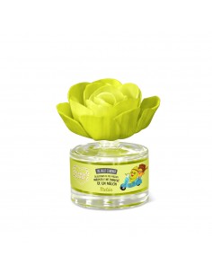 The fruit company-fleur parfumée-Melon-grossiste-parfum-generique 2