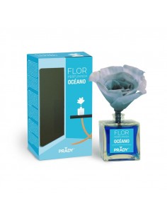 Prady-Fleur Parfumée-OCEANE-grossiste-parfum-generique
