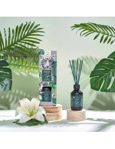 FLORDEMAYO-TIGERMISTERY-grossiste-parfum-generique 2