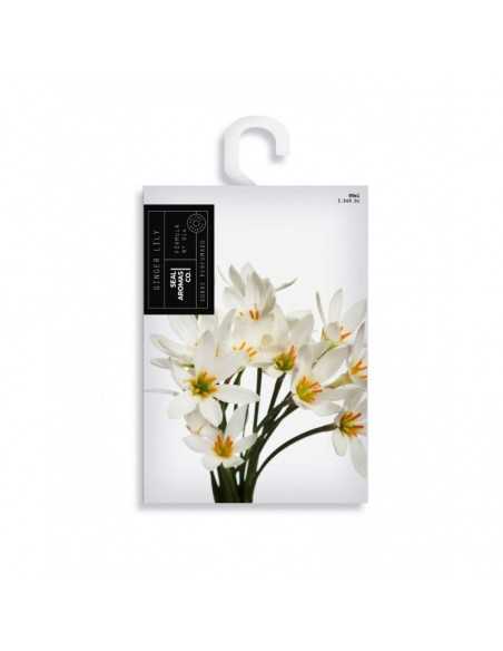 SEALAROMAS-ARMARIO-GINGER LILY-grossiste-parfum-d-ambiance