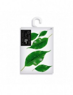 SEALAROMAS-ARMARIO-the vert patchouli-grossiste-parfum-d-ambiance