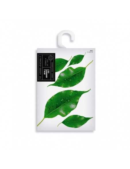 SEALAROMAS-ARMARIO-the vert patchouli-grossiste-parfum-d-ambiance