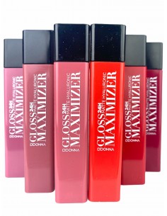 RAL-D'DONNA-PACKDE24-MAXIMIZER-12242B-grossiste-maquillage 2