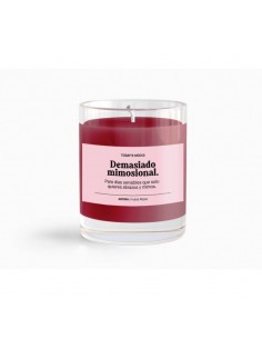 BOUGIE-SEAL AROMAS-FRUITS ROUGES,by grossiste parfum générique