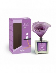 Prady- x 6 Fleur Parfumée-LILY-grossiste-parfum-ambiance