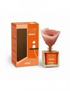 Prady- x 6 Fleur Parfumée-MANGUE-grossiste-parfum-ambiance