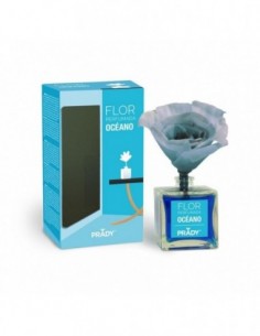 Prady- x 6 Fleur Parfumée-OCEANE-grossiste-parfum-ambiance