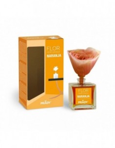 Prady- x 6 Fleur Parfumée-ORANGE-grossiste-parfum-ambiance