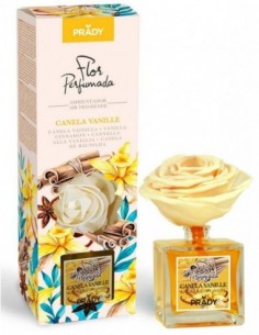 Prady- x 6 Fleur Parfumée-Canelle /