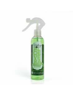 vintage X 12-pulverisable-ALEOVERA,grossiste-Vintage-parfum