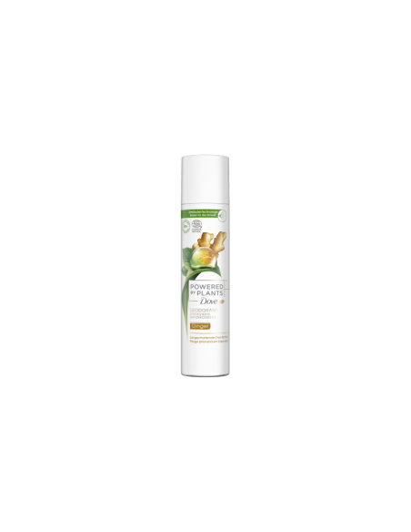 PACK DE 6 DÉODORANTS NATURELS GINGEMBRE 75ML - DOVE